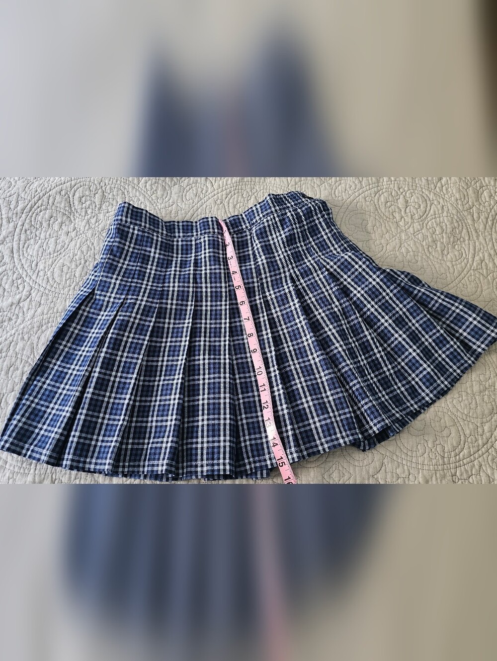 aerie Blue Plaid Pleated Mini Skirt